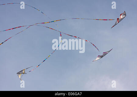 Weymouth, Regno Unito. 04 Maggio, 2014. I visitatori si radunano per guardare la varietà di coloratissimi aquiloni danza alla musica in cielo a Weymouth Kite Festival Credito: Carolyn Jenkins/Alamy Live News Foto Stock