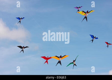 Weymouth, Dorset, Regno Unito. 04th maggio, 2014. I visitatori si riuniscono per guardare la varietà di aquiloni colorati ballare con la musica nel cielo al Weymouth Kite Festival. aquiloni a forma di uccelli che volano nel cielo blu. Credit: Carolyn Jenkins/Alamy Live News Foto Stock