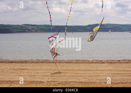 Weymouth, Regno Unito. 04 Maggio, 2014. I visitatori si radunano per guardare la varietà di coloratissimi aquiloni danza alla musica in cielo a Weymouth Kite Festival Credito: Carolyn Jenkins/Alamy Live News Foto Stock