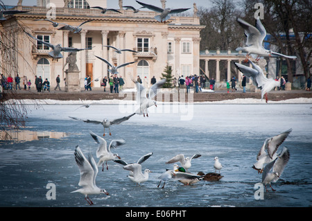 Acqua nel palazzo di Lazienki Park (parco delle Terme Reali) a Varsavia, Polonia Foto Stock