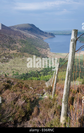 Guardando Ennerdale da Lingmell utilizzando la recinzione come una linea guida su una soleggiata giornata di primavera. Foto Stock