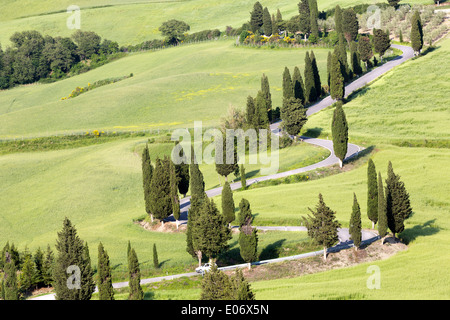 Vista sulle strade tortuose attraverso le colline della Toscana vicino a Monticchiello Foto Stock