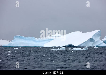 Granuli tabulari di neve fresca iceberg nei pressi de Cuverville Island Antartide Foto Stock