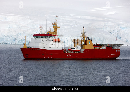 Royal Navy ghiaccio nave pattuglia HMS Protector a Port Lockroy Antartide Foto Stock