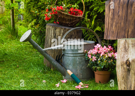 Diversi strumenti e le piante nel giardino di primavera Foto Stock