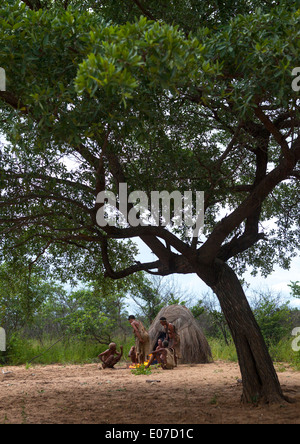 Capanne in un villaggio tradizionale, Tsumkwe, Namibia Foto Stock