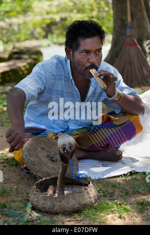 Il serpente incantatore e King Cobra in Polonnawura, Sri Lanka 2 Foto Stock