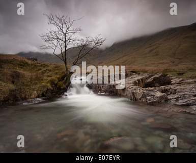 Lone Tree e cascata nella valle Langstrath nel Lake District inglese Foto Stock