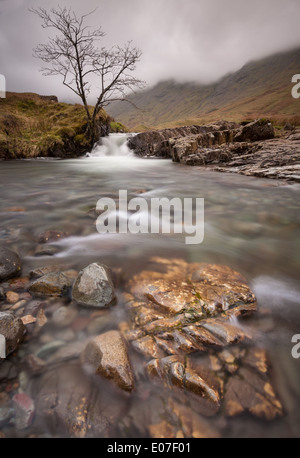 La cascata e lone tree nella valle Langstrath nel Lake District inglese Foto Stock