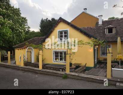 Un ristorante Bierstube e Heuriger a Grinzing Vienna Austria, un tipo di taverna dove si possono degustare il vino locale Foto Stock