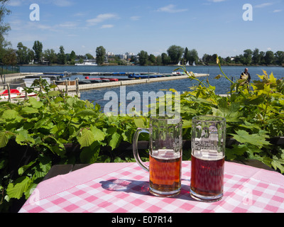 Alte Donau, o Vecchio Danubio,a Vienna in Austria un lago per nuotare e andare in barca, passeggiando di ricreazione e una birra o due al sole Foto Stock