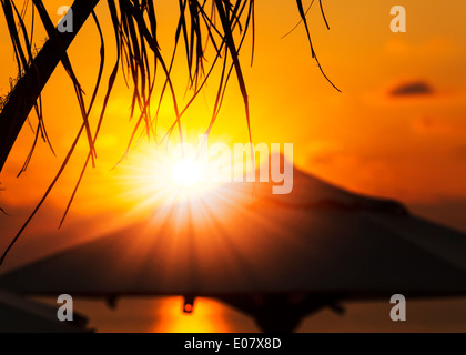 Tempo di vacanza: sorprendente alba con ombrelloni e palme dall'oceano Foto Stock