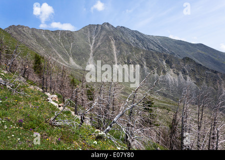 Paesaggio visto dal sentiero che conduce al Pik Lyubov' (chiamato anche Pik Lyubvi) nella regione di Arshan, Buryatia, Russia Foto Stock