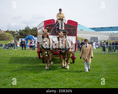 Una pesante cavallo disegnato mobili rimozione carrello viene visualizzato in un'arena a Southsea rurale e mare visualizza Foto Stock