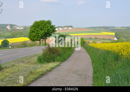 Percorso ciclabile su strada e tra i campi di grano e i semi di ravizzone (canola) in Baviera Germania. Foto Stock