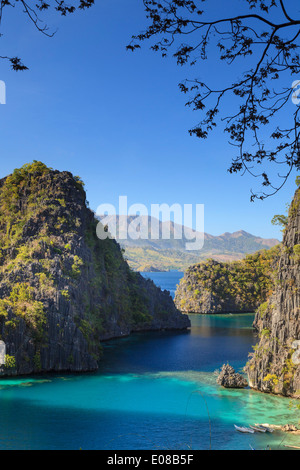 Filippine, Palawan Coron Island, il Kayangan Lake, vista in elevazione di una delle scogliere calcaree Foto Stock