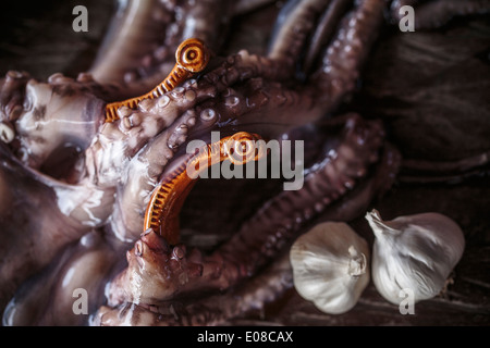 La preparazione di insalata di polpo Foto Stock