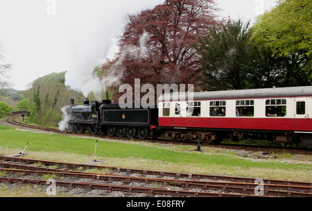 Un vecchio Express Motore di Vapore 30120 in Bodmin & Wenford Railway a Bodmin sua una LSWR classe T9 Greyhound 4-4-0 , costruito nel1899 Foto Stock