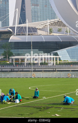 Giardinieri di sostituzione del passo sulla "galleggiante", Marina Bay, Singapore. Foto Stock