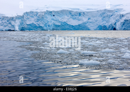 Insolente mare la formazione di ghiaccio nel fronte del ghiacciaio faccia di parete Port Lockroy Antartide Foto Stock