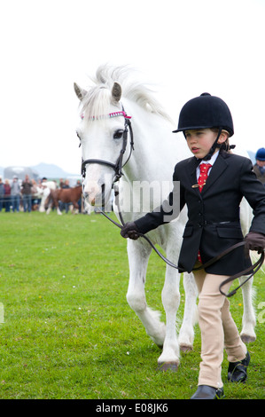 Una giovane ragazza conduce un pony bianco intorno a un involucro a Sioe Nefyn county visualizza Foto Stock