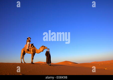 Tourist sul cammello tenendo fotografia, con uomo berbero, Marocco, Africa Settentrionale, Africa Foto Stock