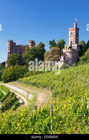 Schloss Ortenberg Castello, Offenburg, Ortenau, Foresta Nera, Baden Wurttemberg, Germania, Europa Foto Stock