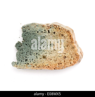 Pane ammuffito ritagliare isolati su sfondo bianco Foto Stock