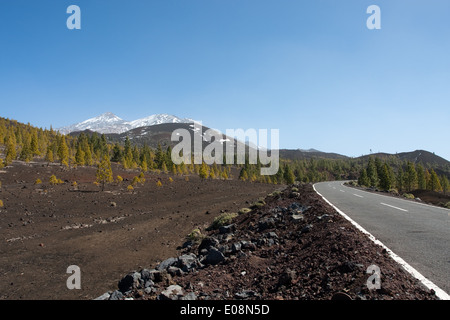 Pico de Teide, Teneriffa, Spanien - Pico de Teide, Tenerife, Spagna Foto Stock