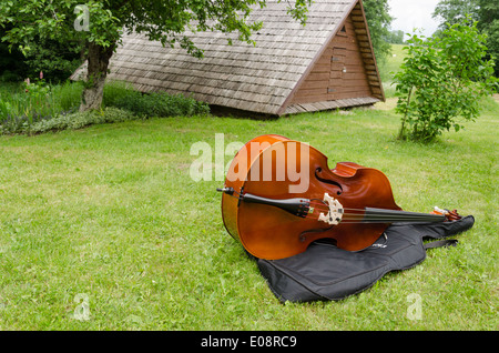 Contrabbasso, contrabbasso strumento musicale su borgo estivo erba Foto Stock