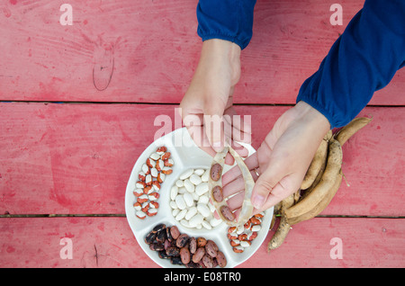 In prossimità di agricoltore mani lolla di guscio colorato decorativo Fagioli baccelli di piatto bianco. Foto Stock