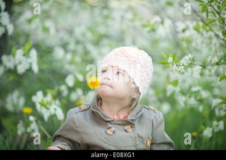 Bambina con la sindrome di Down in bocca tira il tarassaco Foto Stock