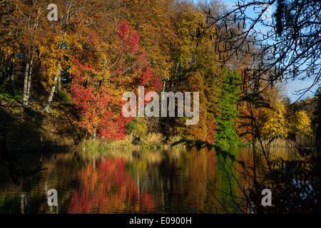 Autumn reflections in the lake at Chateau de la Hulpe, etang de la longue queue, near Brussels, Belgium. Foto Stock