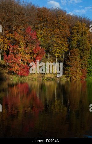 Autumn reflections in the lake at Chateau de la Hulpe, etang de la longue queue, near Brussels, Belgium. Foto Stock