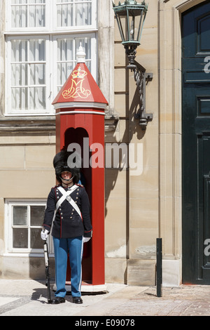 Una guardia di sentinella a guardia Amalienborg o Royal Palace la residenza ufficiale della regina danese di Copenaghen Zelanda, Danimarca Foto Stock