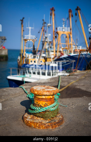 Barche da pesca legato in Kilmore Quay, Wexford, Irlanda Foto Stock