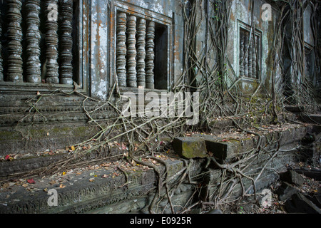 Il Sud Est Asiatico Cambogia Siem Reap Angkor Wat tempio complesso patrimonio mondiale dell UNESCO Beng Mealea tempio alberi che crescono attraverso Foto Stock