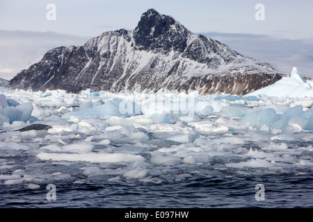 Insolente mare pack ghiaccio formando insieme come in inverno si avvicina cierva cove Antartide Foto Stock