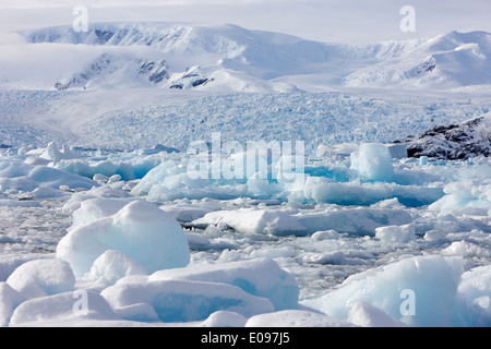 Insolente mare pack ghiaccio formando insieme come in inverno si avvicina cierva cove Antartide Foto Stock