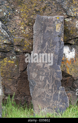 Anerican nativi indiani la fauna uccelli e animali Petrogylphs su roccia Artwork a Horsethief Lago Washington Foto Stock