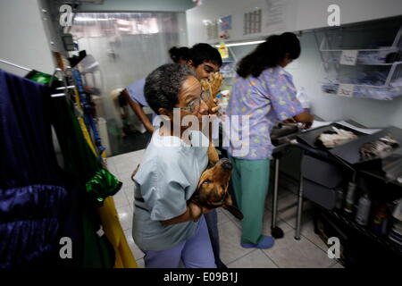 Panama City, Panama. Il 6 maggio, 2014. Volontari spostare un cane per la sua sterilizzazione per la sala operatoria del "pay Panama' Foundation, nella città di Panama, capitale di Panama, il 6 maggio 2014. "Pay Panama " è una fondazione, la cui missione è quella di controllare la miseria e l'inutile morte di animali di strada, per mezzo di un intenso programma di sterilizzazione. Con una media di 50 daily sterilizations, "pay Panama " Fondazione ottiene il suo più grande sostegno da parte di volontari, che hanno il compito di eseguire le diverse attività della fondazione. © Mauricio Valenzuela/Xinhua/Alamy Live News Foto Stock