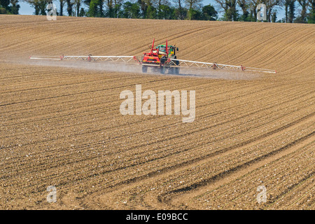 Weed pre emergere della spruzzatura di barbabietole da zucchero. Foto Stock