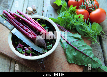 Ciotola con il fresco delle barbabietole rosse e le erbe aromatiche Foto Stock