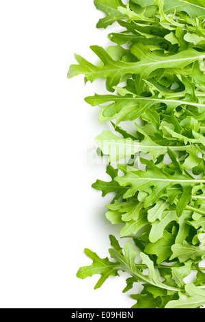 Confine realizzato da fresco foglie di rucola Foto Stock