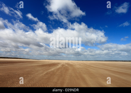 Sands soffia attraverso l'enorme spazio di spiaggia di Burnham Overy sulla Costa North Norfolk. Foto Stock