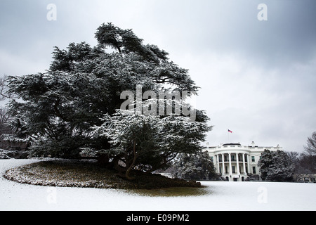 Coperte di neve il South Lawn della Casa Bianca durante una tempesta di neve Febbraio 25, 2014 a Washington, DC. Foto Stock