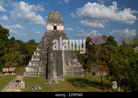 Tempio I & Grand Plaza, Tikal, Guatemala Foto Stock