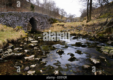 Clapham Beck che esce dall'schiusi Gill Ingleborough e sistema di grotte di calcare su Ingleborough. Yorkshire Dales Foto Stock