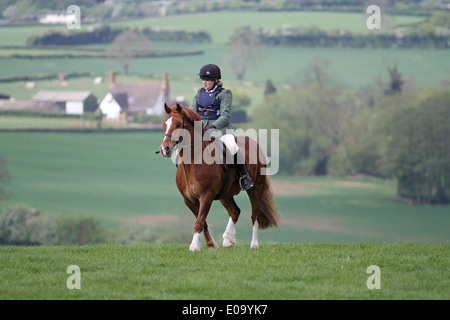 Cavallo e cavaliere godendo di una passeggiata in un campo di una mostra locale Foto Stock