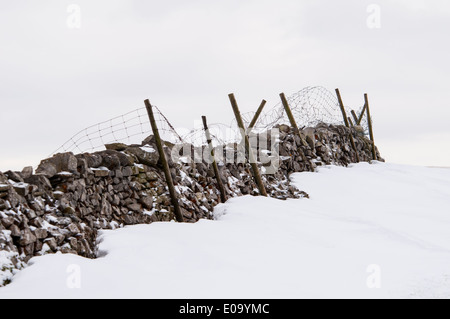 Un tumbledown dry-muro di pietra con filo rotto scherma e la bordatura di una coperta di neve a campo Malham nel Yorkshire Dales National Park Foto Stock